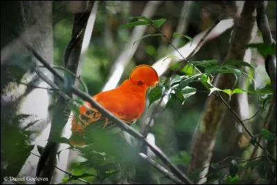 Emportez de l'eau, il fait très chaud dans le sous-bois, et vous allez crapahuter !