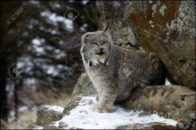 Il y fait à peine plus chaud, mais ça vaut le dérangement !
