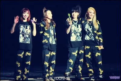 Quel est ce groupe féminin de K-pop ?