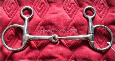 De quel mors s'agit-il ?