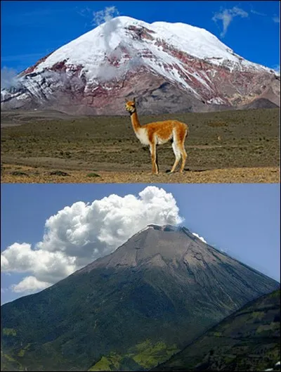 Géographie : 
On sait que l'Everest est le point le plus haut par rapport au niveau de la mer (8 848 mètres). Mais, par rapport au centre de la Terre, quel est le point le plus éloigné, le plus élevé ?