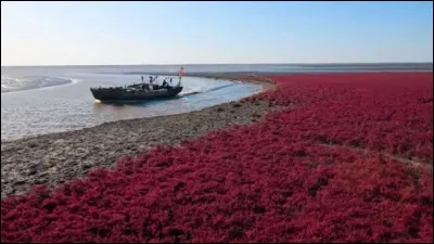 Où pouvons-nous voir tout ce rouge ?