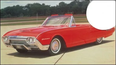 Le propri&eacute;taire de cette T-Bird fut :