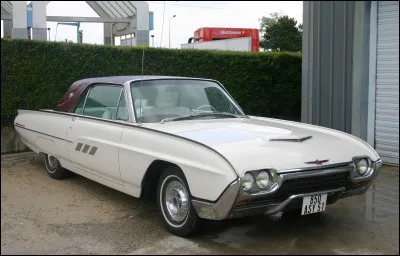 Cette T-Bird est la....
