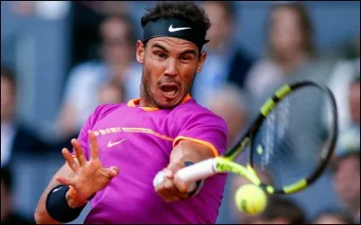 Quel prénom 'quasi pictural', celui-ci porte-t-il ?