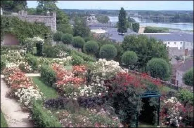 Comment appelle-t-on un jardin composé uniquement de roses ?