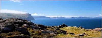 Petit Jardin et Grand Jardin sont deux communes situées sur l'île de Terre-Neuve, au...