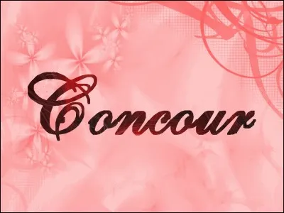 Qu'a-t-elle passé comme concours ?