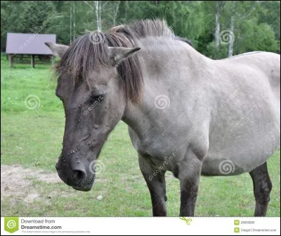 Qu'est-ce que le test du pli de peau ?