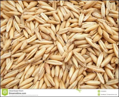 Qu'est-ce que c'est ?