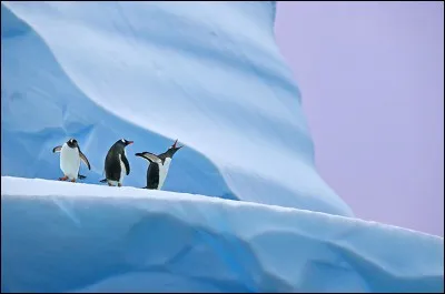 Un indice peut-être ? Casino !