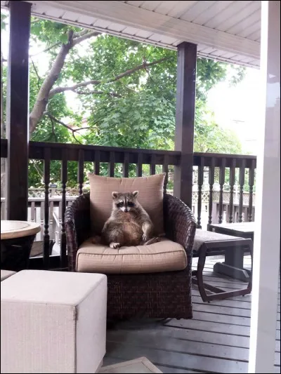 La réponse sera sans taches !