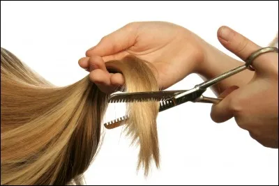 Quelle princesse s'est fait couper les cheveux ?