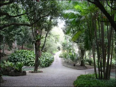 Je vous montre cette photo. Quel pays vous vient en tête ?