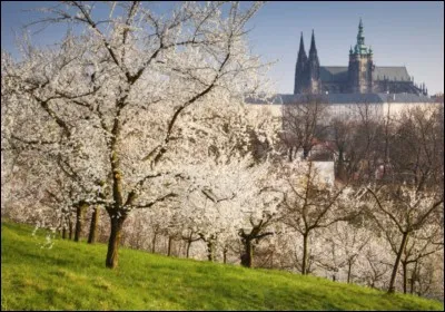 Où ce jardin se situe-t-il ?