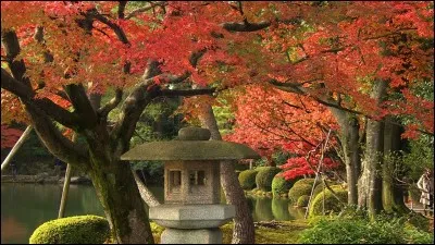 Oh, c'est joli toutes ces belles couleurs qu'on aperçoit...