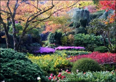 Ce magnifique endroit est observable...