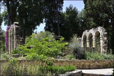 C'est le plus vieux jardin botanique français. Il a été créé au XVIe siècle et il abondait alors en plantes médicinales. Le romantisme et la paix de ce jardin sont garantis.