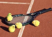 Quiz Prnoms de tenniswomen clbres