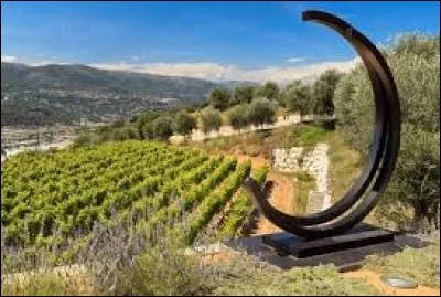 Quel est le nom de ce vignoble, situé à l'ouest de Nice, où l'on y produit des vins rouges, blancs et rosés en AOC ?