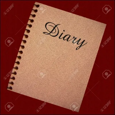 Quelle est la couleur de son journal intime ?