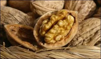 Quel fruit possédant une AOC est une spécialité de cette ville ?