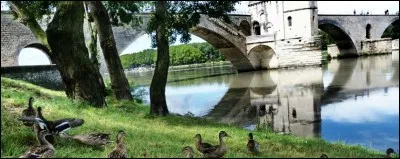 Dans quelle ville de France peut-on visiter le jardin du Rocher des Doms ?