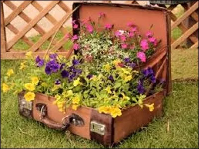 Pour faire passer un gros mensonge monsieur veut &ecirc;tre d'autant plus aimable et attentionn&eacute; envers sa femme qu'il se sent coupable. Quelles fleurs va lui conseiller la fleuriste au solide sens d'un humour corrosif ?