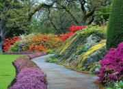 Quiz Plantes des jardins du monde