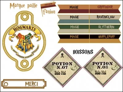 Qu'aimerais-tu être comme sorcier ?