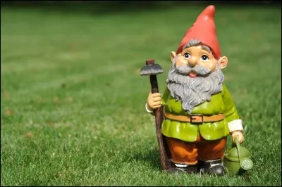 Comment appelle-t-on une personne collectionnant les nains de jardin ?