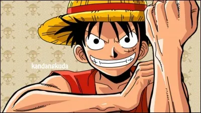 Quel est le nom de ce manga ?