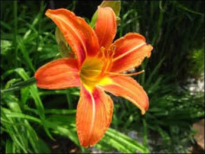 Relatif à la région de Gap :