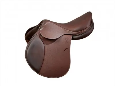 Qu'est-ce qui n'existe pas sur une selle ?