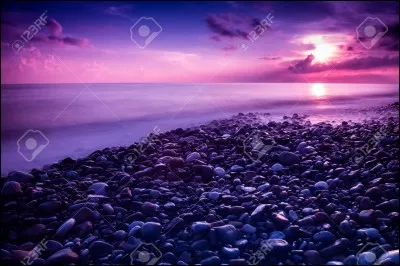 Comment dit-on "violet" en anglais ?