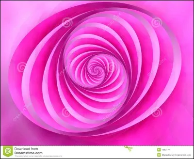 Comment dit-on "rose" en anglais ?