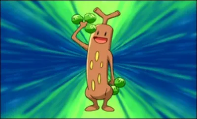 Combien de Pokémon a Pierre ?