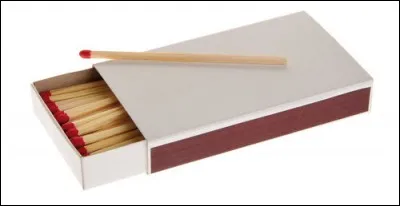 Comment s'appelle la collection des boîtes d'allumettes ?