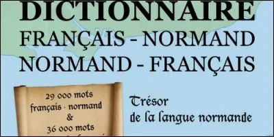 En Normandie, si quelqu'un "ouine", cela signifie qu'il :