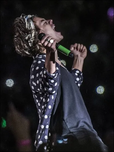 Qu'a-t-il vu dans le téléphone d'une fan lors d'un concert en 2014 ?