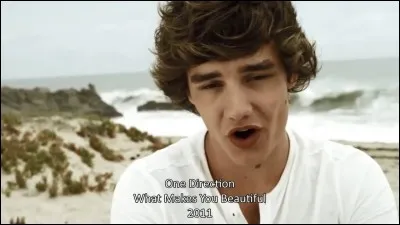 Durant le tournage de "What Makes You Beautiful", qu'a-t-il dit à Louis en blaguant ?