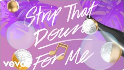 Avec qui a-t-il chanté "Strip That Down" ?