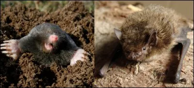 Quelle est la bonne réponse ?