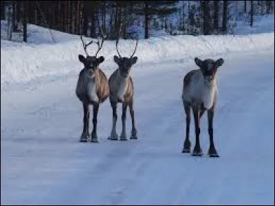 Combien d'habitants compte-t-elle ?