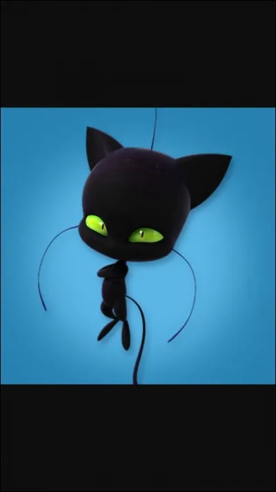 Comment s'appelle ce miraculous ?