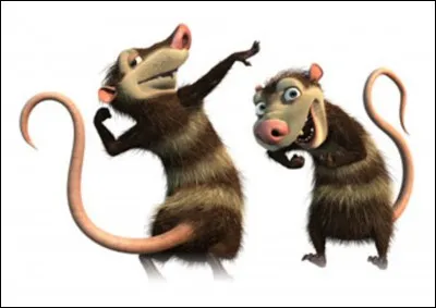 Comment s'appellent les jumeaux qui ne se séparent jamais ?