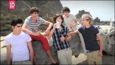 Qui était le directeur du clip de "What Makes You Beautiful" ?