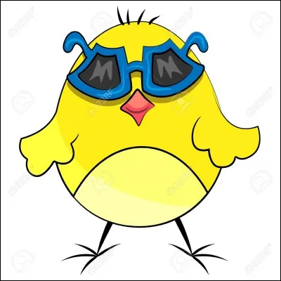 Comment te décrirais-tu ?