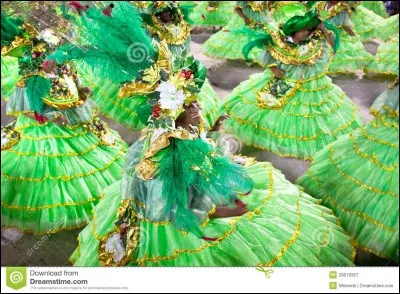 Et enfin, tu pourras y danser et chanter au célèbre carnaval de Rio de Janeiro.