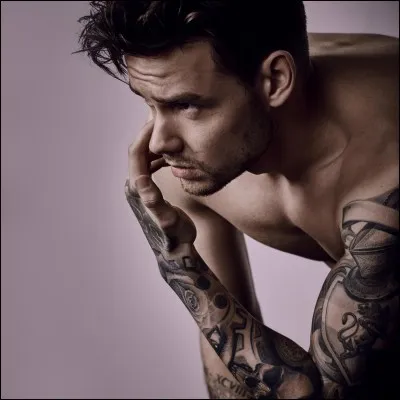Combien de chansons Liam a-t-il écrites pour cet album ?